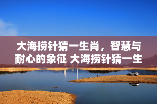 大海捞针猜一生肖，智慧与耐心的象征 大海捞针猜一生肖