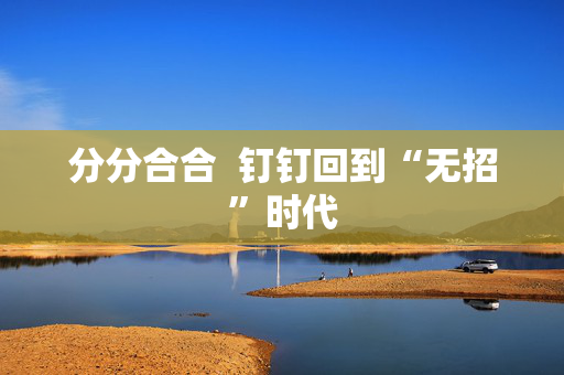 分分合合  钉钉回到“无招”时代