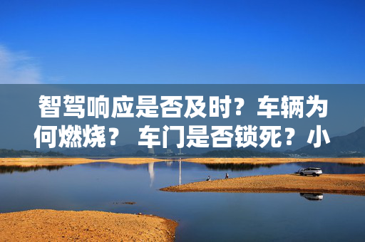 智驾响应是否及时？车辆为何燃烧？ 车门是否锁死？小米SU7致三死车祸三问