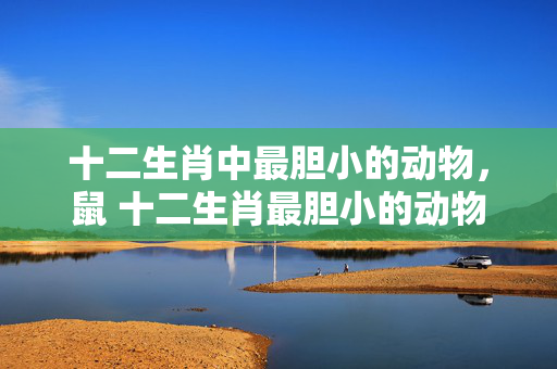 十二生肖中最胆小的动物，鼠 十二生肖最胆小的动物