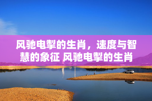 风驰电掣的生肖，速度与智慧的象征 风驰电掣的生肖