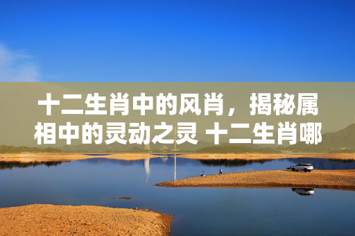 十二生肖中的风肖，揭秘属相中的灵动之灵 十二生肖哪几个是风肖