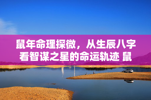 鼠年命理探微，从生辰八字看智谋之星的命运轨迹 鼠的生辰八字