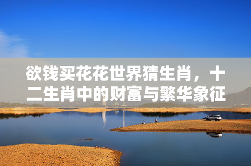 欲钱买花花世界猜生肖，十二生肖中的财富与繁华象征 欲钱买花花世界猜生肖