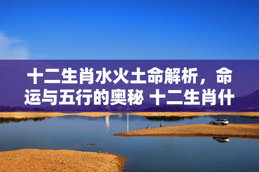 十二生肖水火土命解析，命运与五行的奥秘 十二生肖什么命水火士