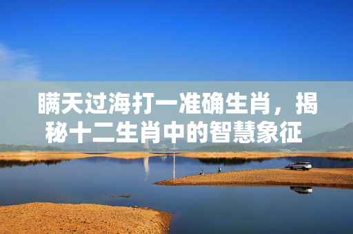 瞒天过海打一准确生肖，揭秘十二生肖中的智慧象征 瞒天过海打一准确生肖