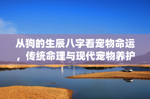 从狗的生辰八字看宠物命运，传统命理与现代宠物养护的奇妙结合 狗生辰八字
