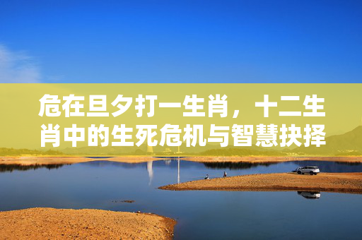 危在旦夕打一生肖，十二生肖中的生死危机与智慧抉择 危在旦夕打一生肖