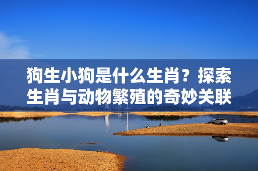 狗生小狗是什么生肖？探索生肖与动物繁殖的奇妙关联 狗生小狗是什么生肖