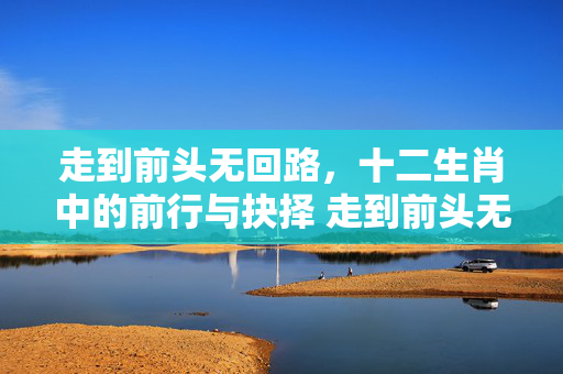 走到前头无回路，十二生肖中的前行与抉择 走到前头无回路打生肖