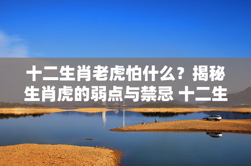 十二生肖老虎怕什么？揭秘生肖虎的弱点与禁忌 十二生肖老虎怕什么