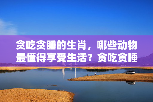 贪吃贪睡的生肖，哪些动物最懂得享受生活？贪吃贪睡的生肖