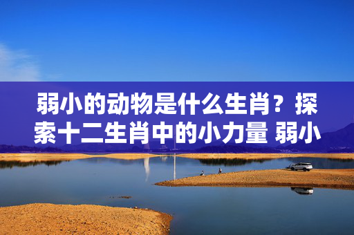 弱小的动物是什么生肖？探索十二生肖中的小力量 弱小的动物是什么生肖