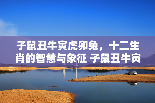 子鼠丑牛寅虎卯兔，十二生肖的智慧与象征 子鼠丑牛寅虎卯兔十二生肖