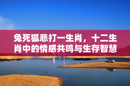兔死狐悲打一生肖，十二生肖中的情感共鸣与生存智慧 兔死狐悲打一生肖