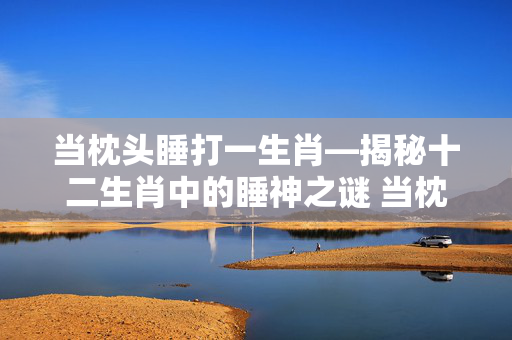 当枕头睡打一生肖—揭秘十二生肖中的睡神之谜 当枕头睡打一生肖