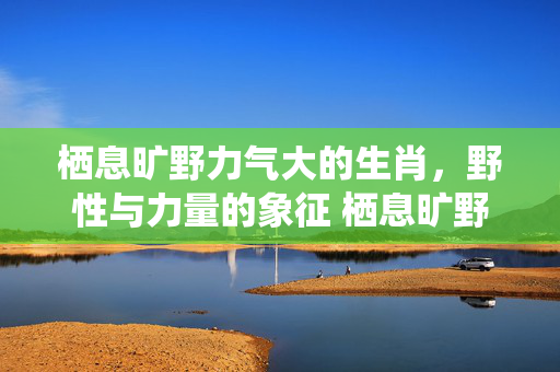 栖息旷野力气大的生肖，野性与力量的象征 栖息旷野力气大的生肖