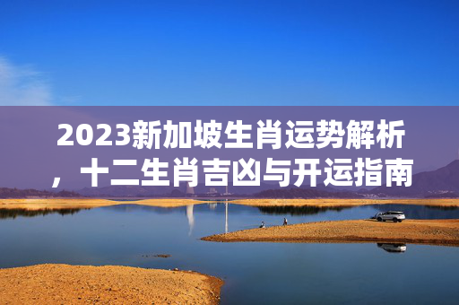 2023新加坡生肖运势解析，十二生肖吉凶与开运指南 2023新加坡生肖运势