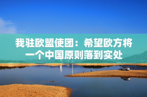 我驻欧盟使团：希望欧方将一个中国原则落到实处