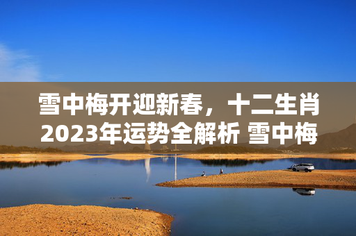 雪中梅开迎新春，十二生肖2023年运势全解析 雪中梅生肖运势