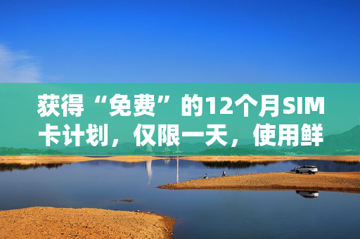 获得“免费”的12个月SIM卡计划，仅限一天，使用鲜为人知的交易