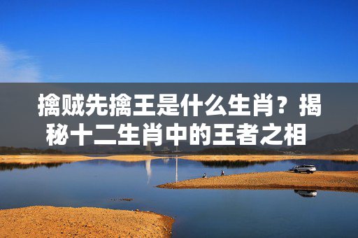 擒贼先擒王是什么生肖？揭秘十二生肖中的王者之相 擒贼先擒王是什么生肖