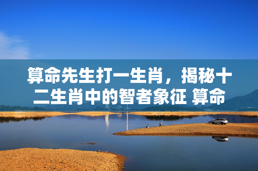 算命先生打一生肖，揭秘十二生肖中的智者象征 算命先生打一生肖