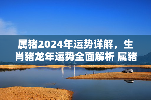 属猪2024年运势详解，生肖猪龙年运势全面解析 属猪2024运势生肖运势详解