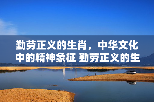 勤劳正义的生肖，中华文化中的精神象征 勤劳正义的生肖