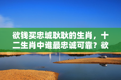 欲钱买忠城耿耿的生肖，十二生肖中谁最忠诚可靠？欲钱买忠城耿耿的生肖
