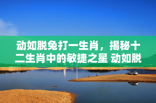 动如脱兔打一生肖，揭秘十二生肖中的敏捷之星 动如脱兔打一个生肖