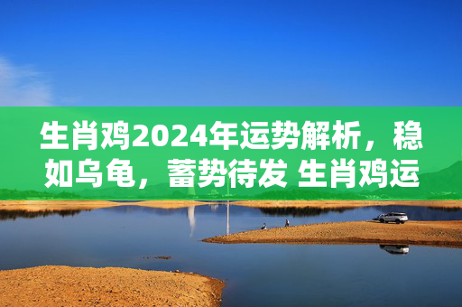 生肖鸡2024年运势解析，稳如乌龟，蓄势待发 生肖鸡运势乌龟