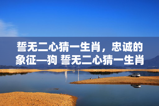誓无二心猜一生肖，忠诚的象征—狗 誓无二心猜一生肖