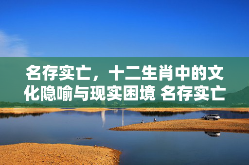 名存实亡，十二生肖中的文化隐喻与现实困境 名存实亡是什么生肖