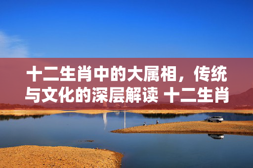 十二生肖中的大属相，传统与文化的深层解读 十二生肖哪些是大属相