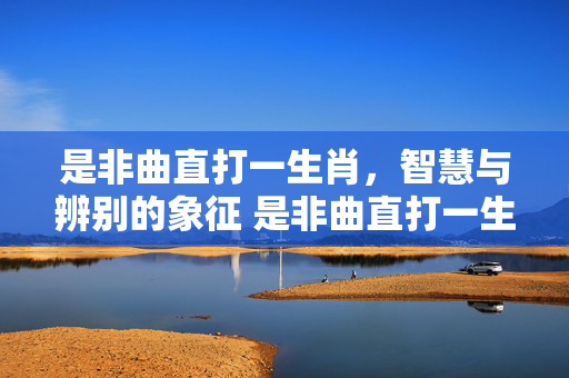 是非曲直打一生肖，智慧与辨别的象征 是非曲直打一生肖