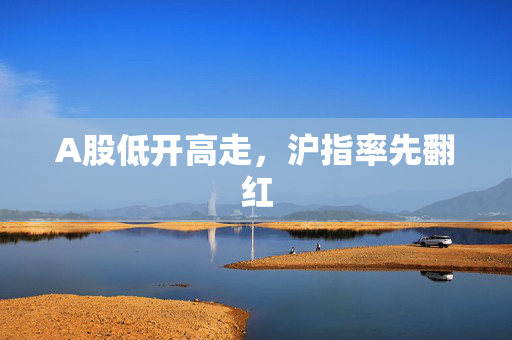 A股低开高走，沪指率先翻红