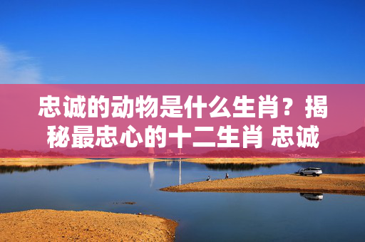 忠诚的动物是什么生肖？揭秘最忠心的十二生肖 忠诚的动物是什么生肖
