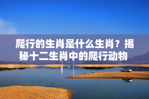 爬行的生肖是什么生肖？揭秘十二生肖中的爬行动物 爬行的生肖是什么生肖