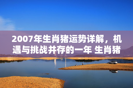 2007年生肖猪运势详解，机遇与挑战并存的一年 生肖猪2007运势