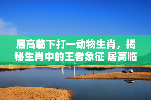 居高临下打一动物生肖，揭秘生肖中的王者象征 居高临下打一动物生肖