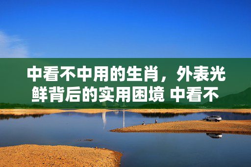中看不中用的生肖，外表光鲜背后的实用困境 中看不中用的生肖