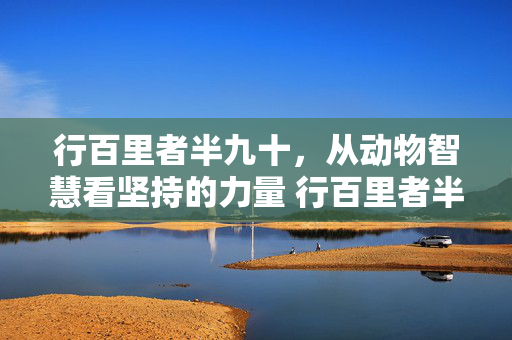行百里者半九十，从动物智慧看坚持的力量 行百里者半九十正确动物