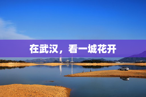 在武汉，看一城花开