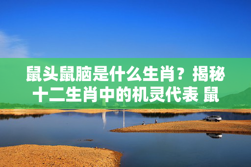鼠头鼠脑是什么生肖？揭秘十二生肖中的机灵代表 鼠头鼠脑是什么生肖