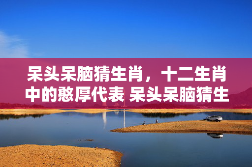 呆头呆脑猜生肖，十二生肖中的憨厚代表 呆头呆脑猜生肖