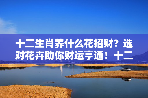 十二生肖养什么花招财？选对花卉助你财运亨通！十二生肖养什么花招财