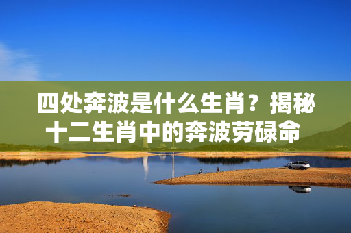 四处奔波是什么生肖？揭秘十二生肖中的奔波劳碌命 四处奔波是什么生肖