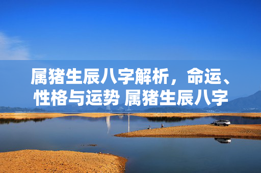 属猪生辰八字解析，命运、性格与运势 属猪生辰八字