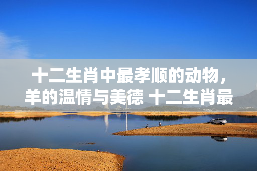 十二生肖中最孝顺的动物，羊的温情与美德 十二生肖最孝顺的动物